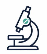 Market Positioning Audit & Review